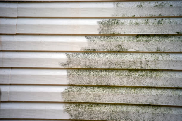 Best Siding Removal and Disposal  in Ave Maria, FL